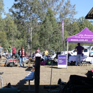 Aussie lending a hand at the Ipswich prize meet